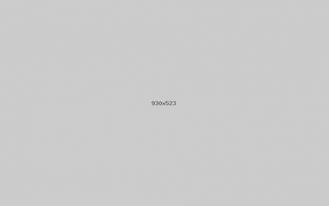 SCRATCH PROGRAMMING